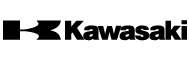 Kawasaki Icon